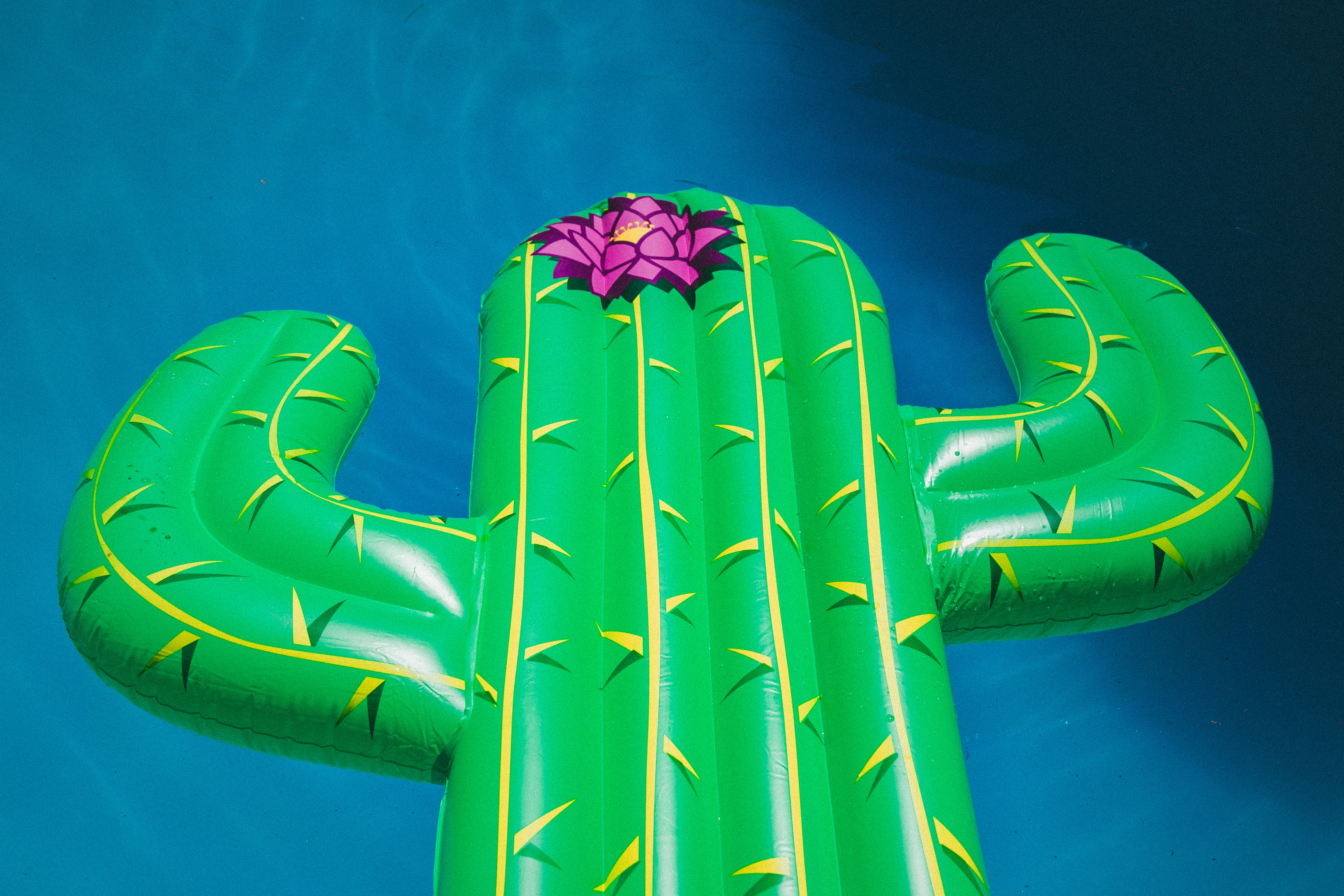 inflatable cactus buoy